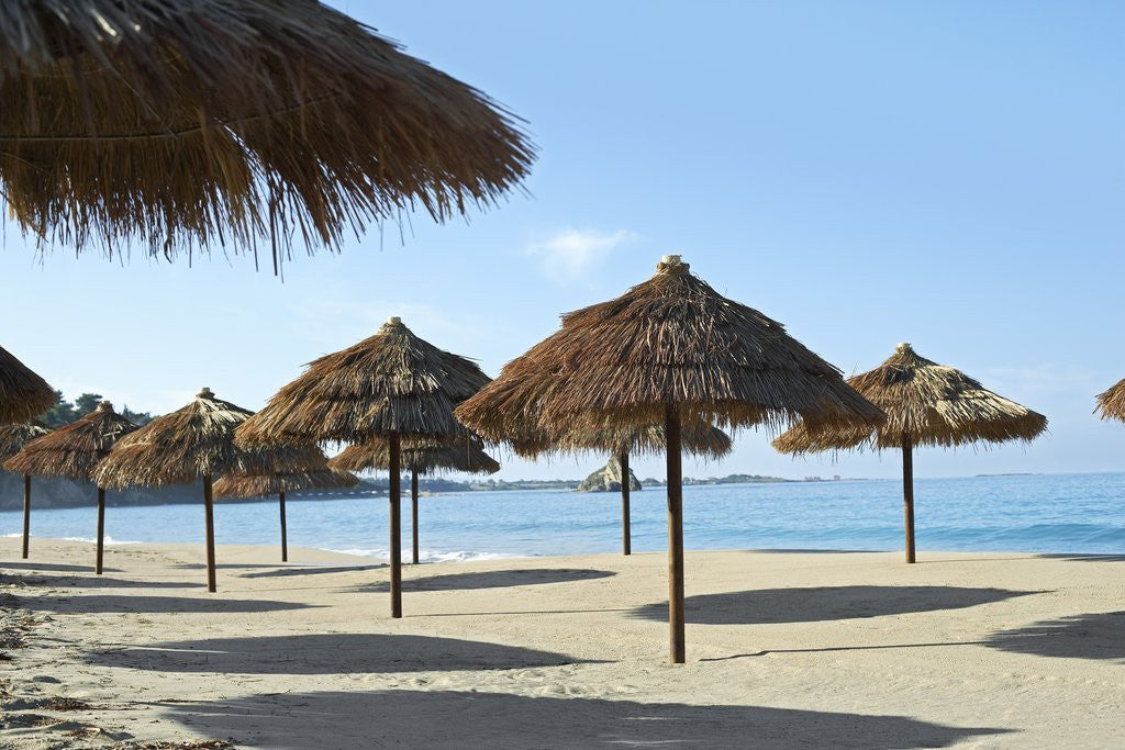 Detail of Sunny Beach and Palapas by Anonymous