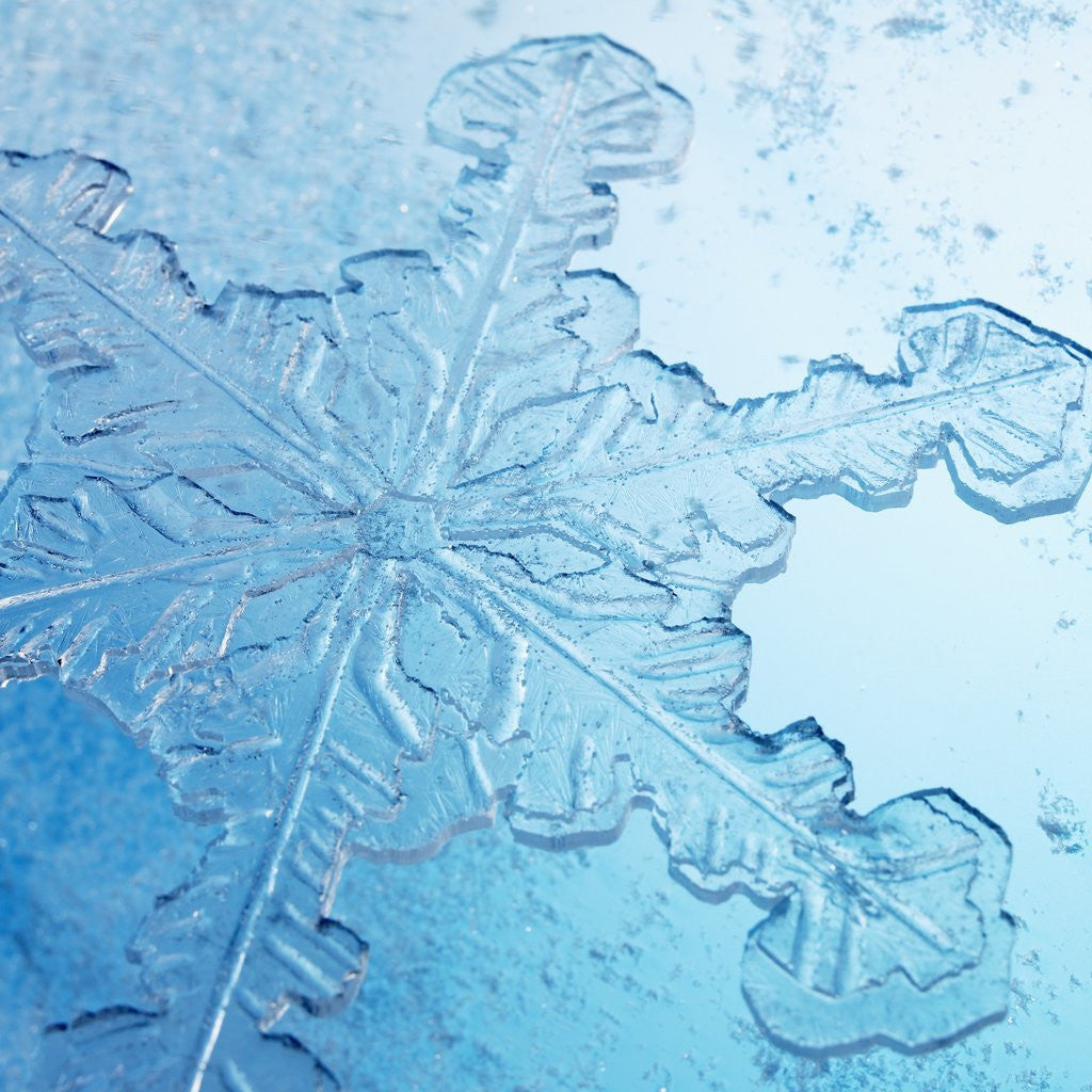 Detail of Close-Up of Snowflake by Anonymous