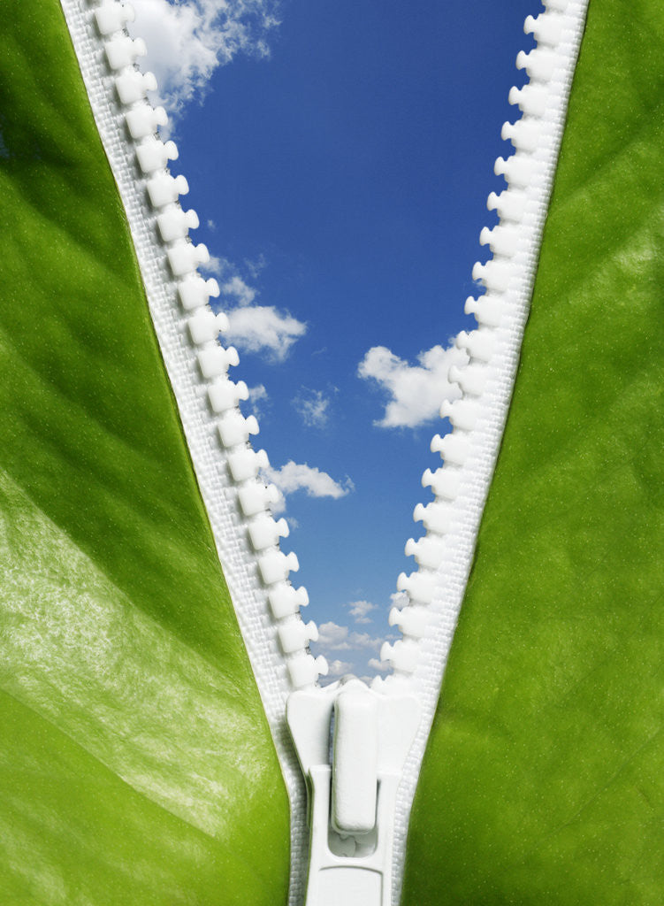 Detail of Green Futures by Corbis