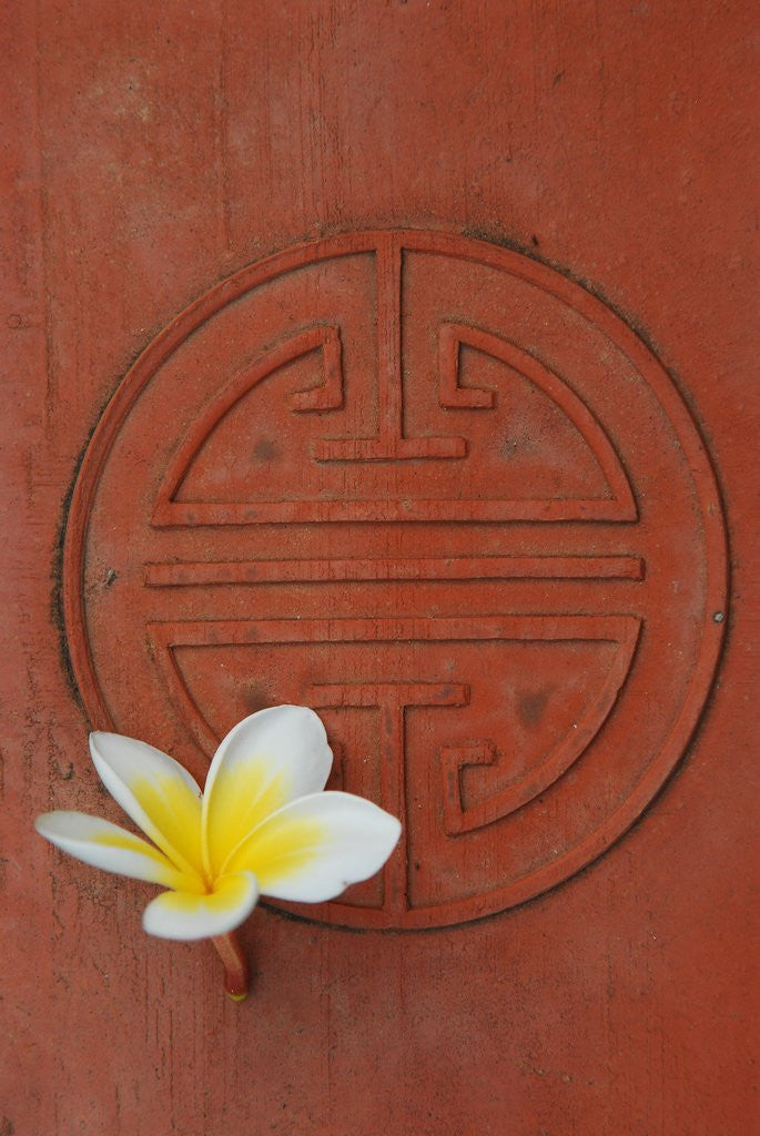 Detail of Long Life Symbol and Lotus Flower by Anonymous