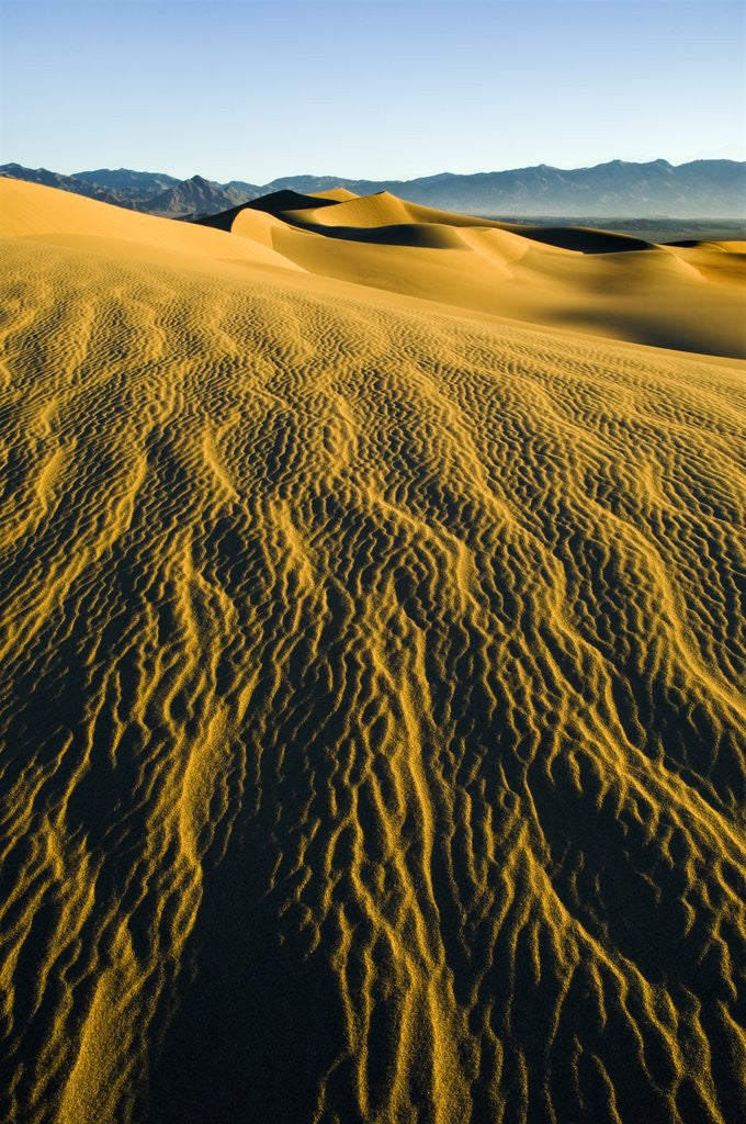 Detail of Ripples in Sand by Anonymous