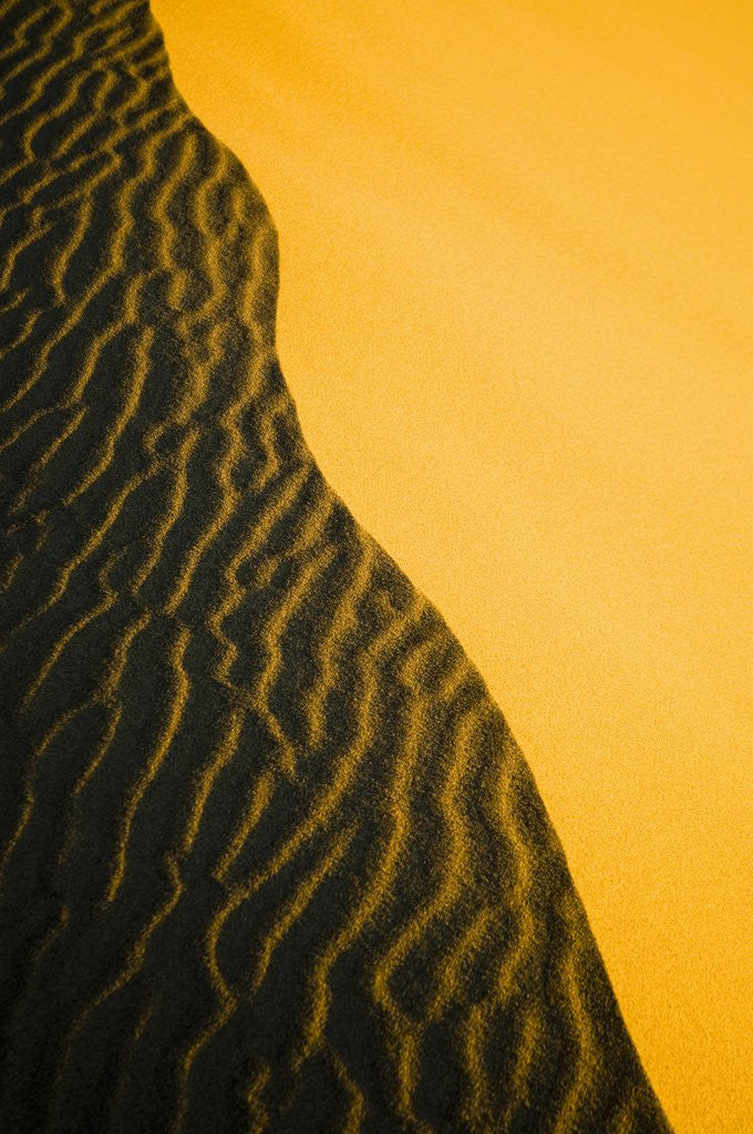 Detail of Sand Dune Ridge by Anonymous