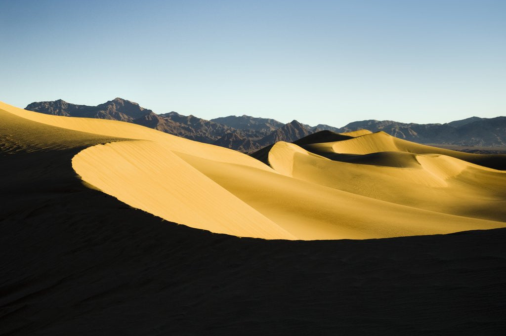 Detail of Sand Dunes in Death Valley by Anonymous