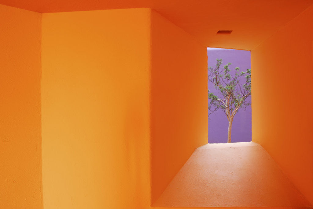 Detail of Colorful Architecture in Cabo San Lucas by Anonymous