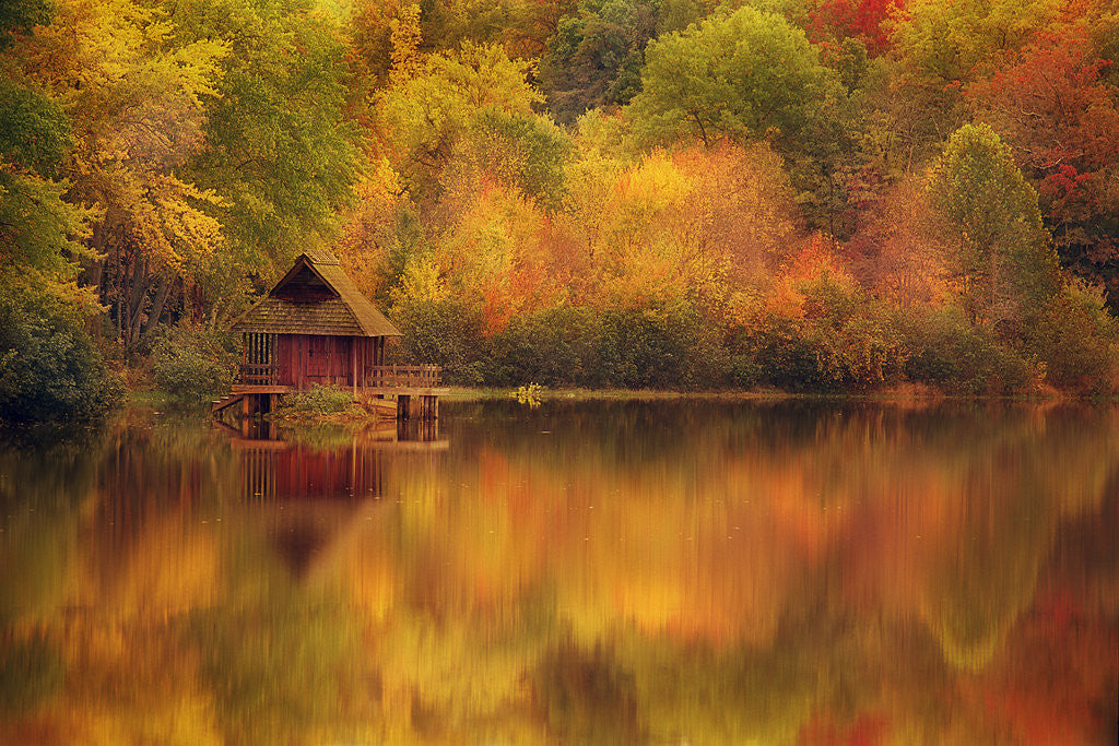 Detail of Wooden Cabin on Lake in Autumn by Anonymous