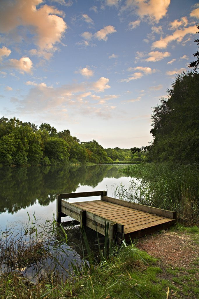 Detail of Pier on Cannop Ponds by Anonymous