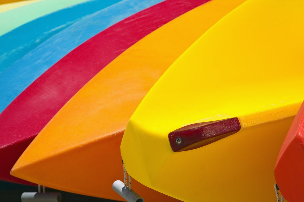 Detail of Kayaks for Rent by Anonymous