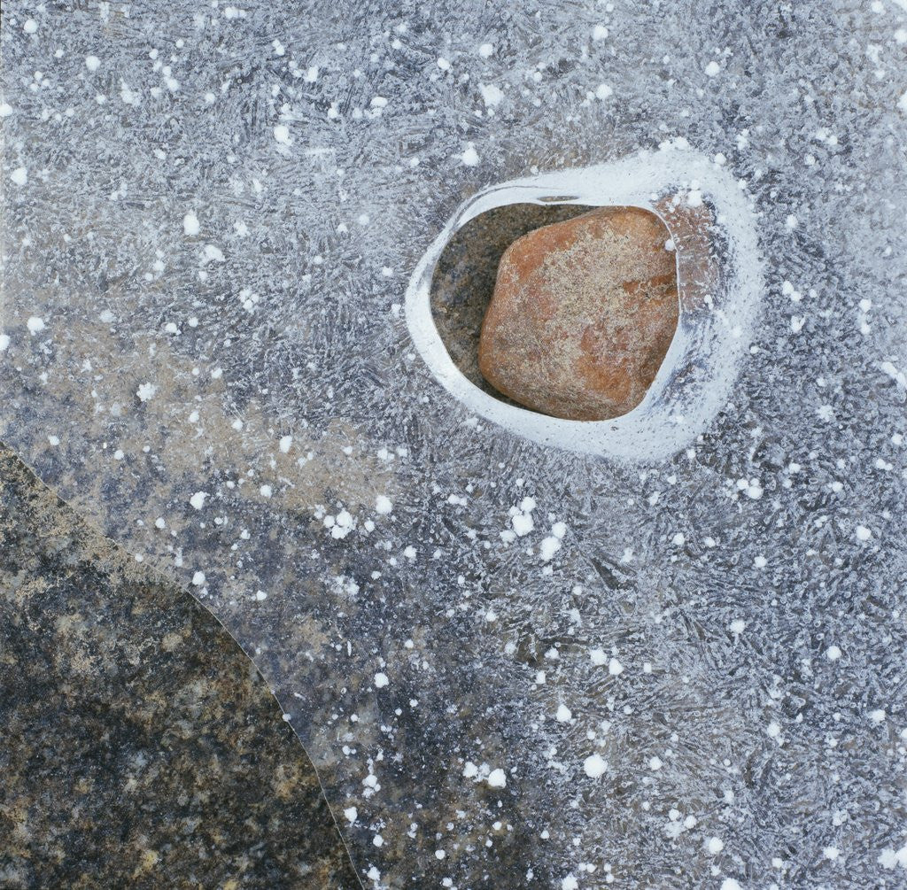 Detail of Rock in a Frozen River by Corbis