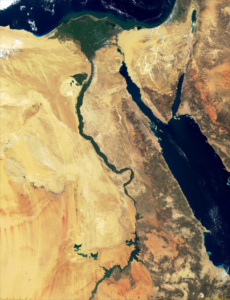 Detail of Nile River in Egypt and the Sinai Peninsula by Anonymous