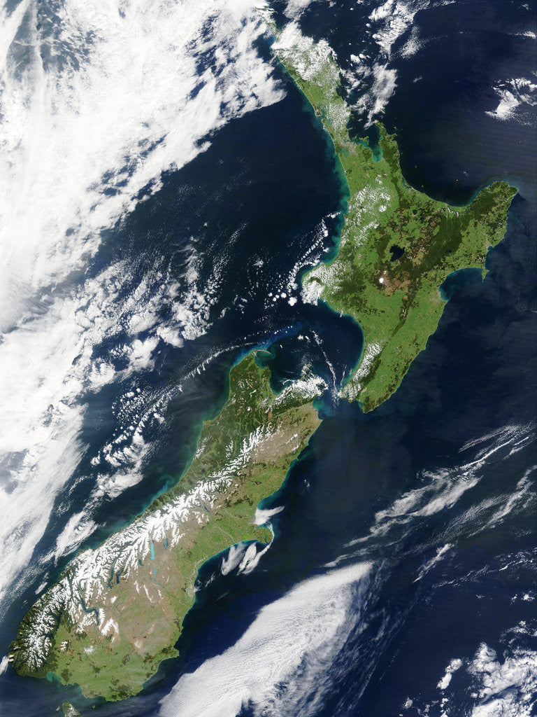 Detail of New Zealand by Anonymous