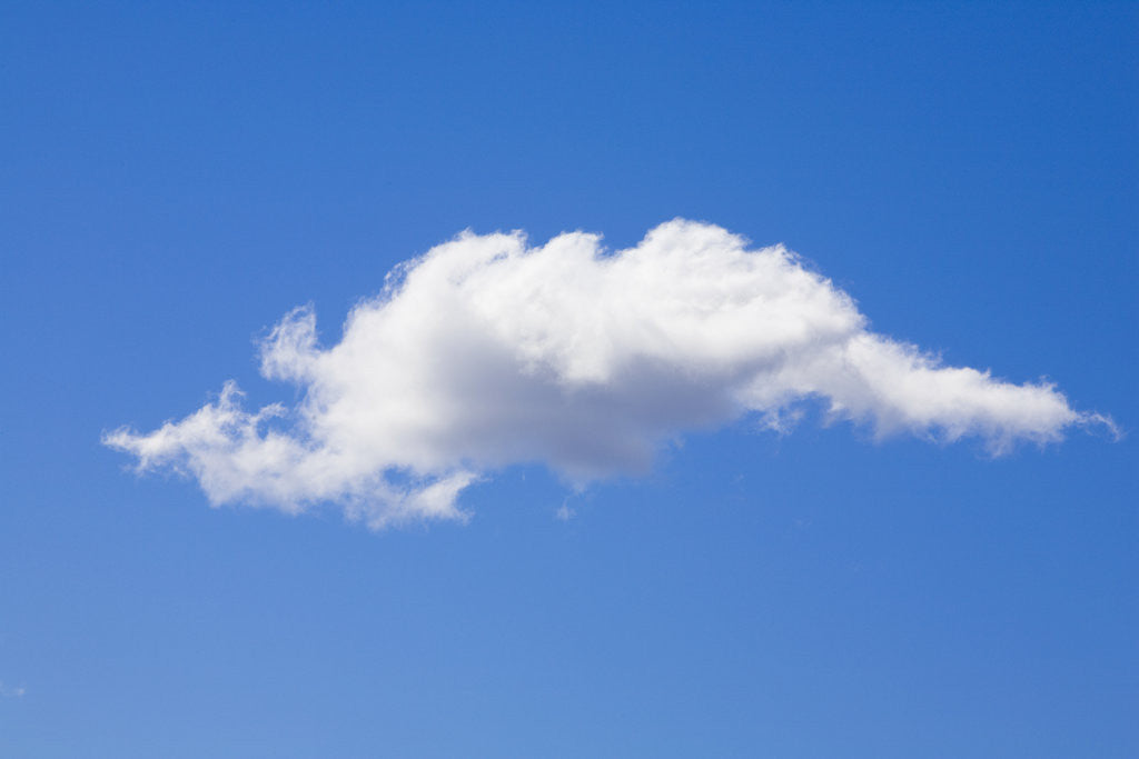 Detail of Single Cumulus Cloud in Blue Sky by Anonymous