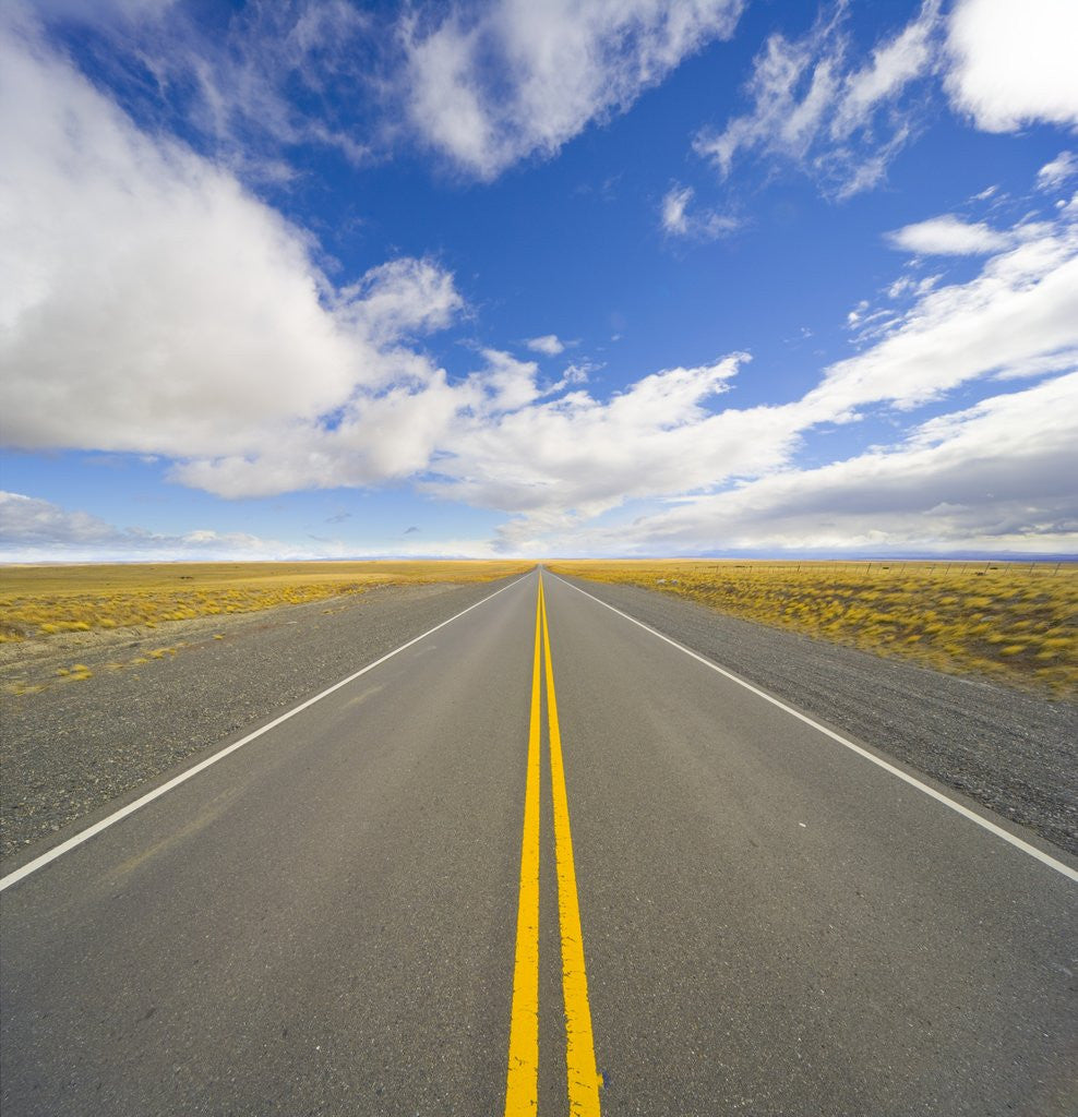 Detail of Rural Road Through Grassland by Anonymous