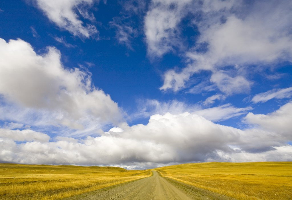 Detail of Cumulus Clouds above Rural Road by Anonymous