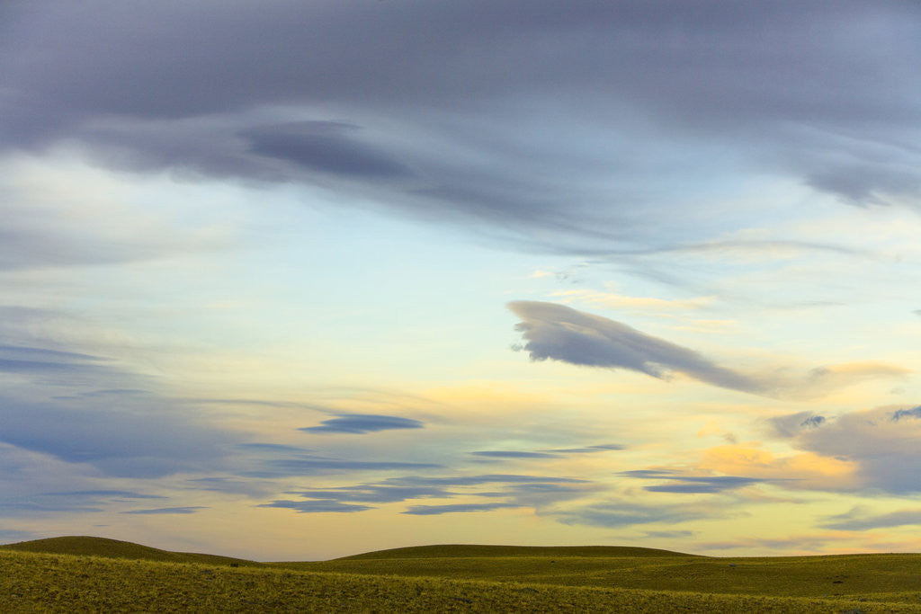 Detail of Prairie under Cloudy Sky at Sunset by Anonymous