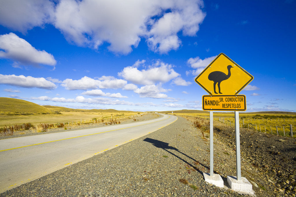 Detail of Greater Rhea Crossing Sign on Rural Road by Anonymous