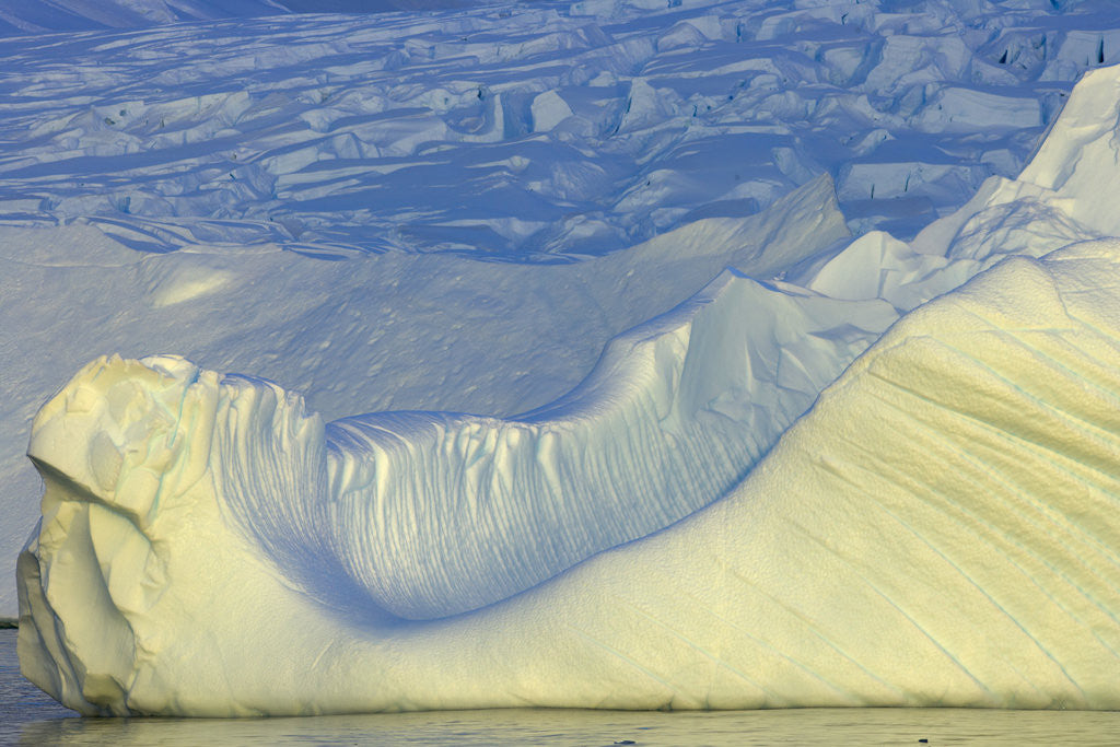 Detail of Wiggins Glacier Descending into Sea by Anonymous