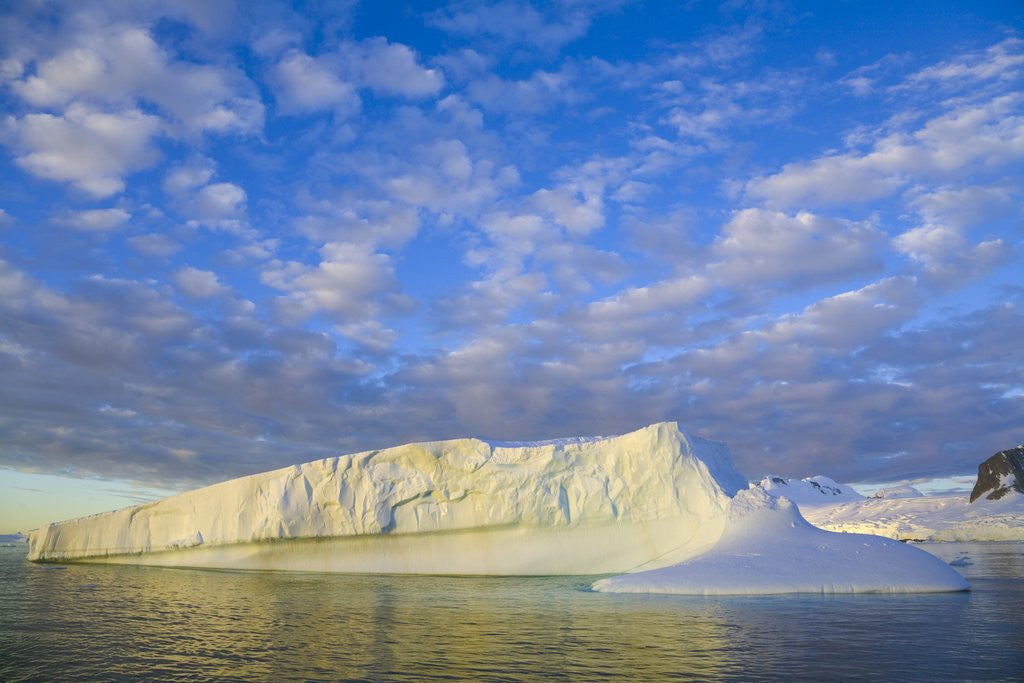 Detail of Wiggins Glacier in Early Evening Light by Anonymous
