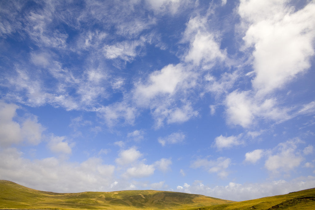 Detail of Cumulus Clouds above Tundra by Anonymous