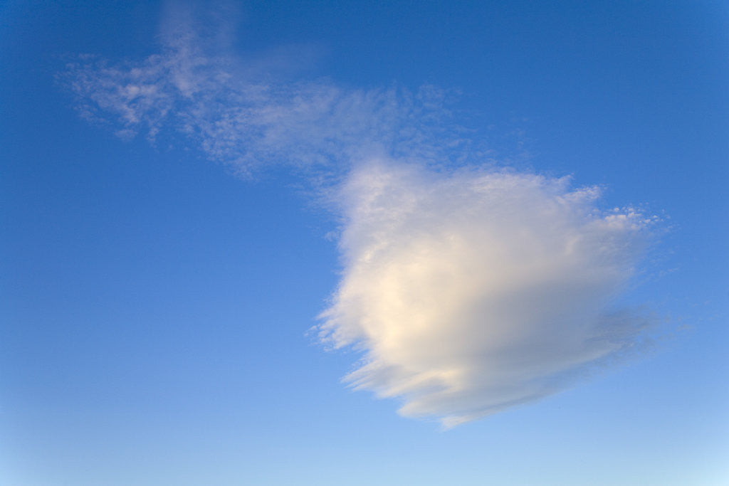 Detail of Cumulus Cloud in Blue Sky by Anonymous