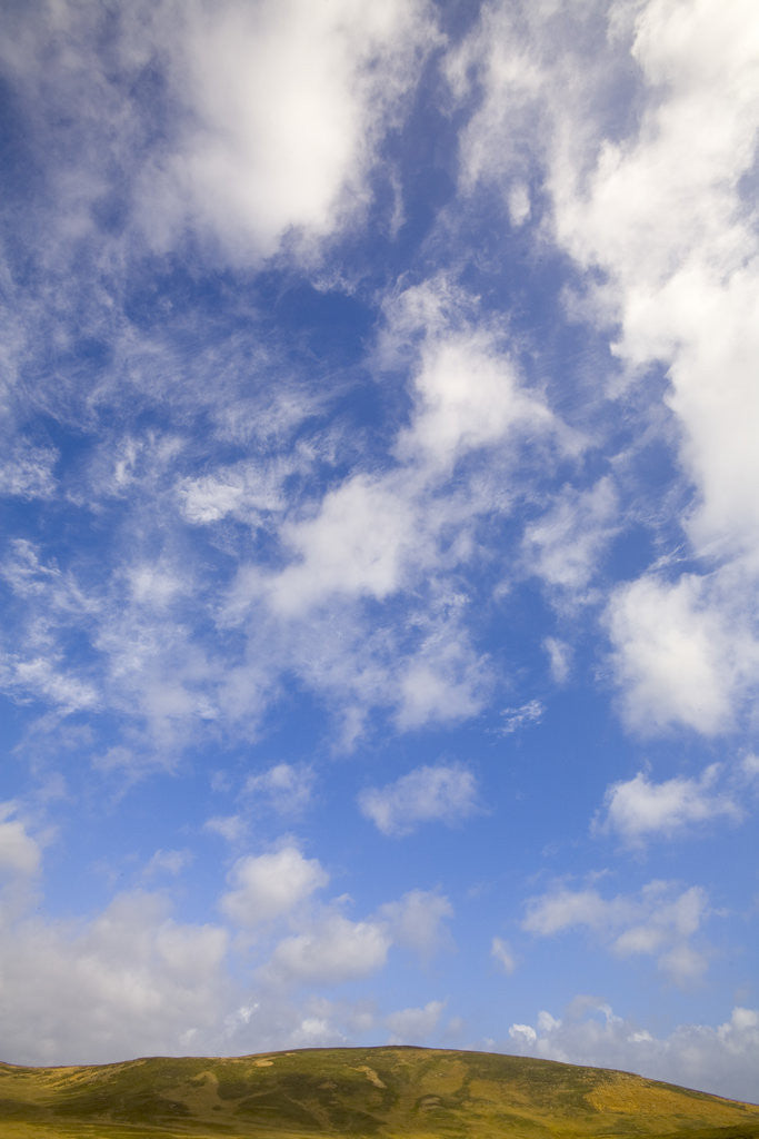 Detail of Cumulus Clouds above Hill by Anonymous