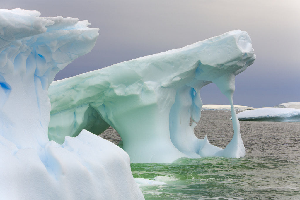 Detail of Sculpted Icebergs Floating in Ocean by Corbis