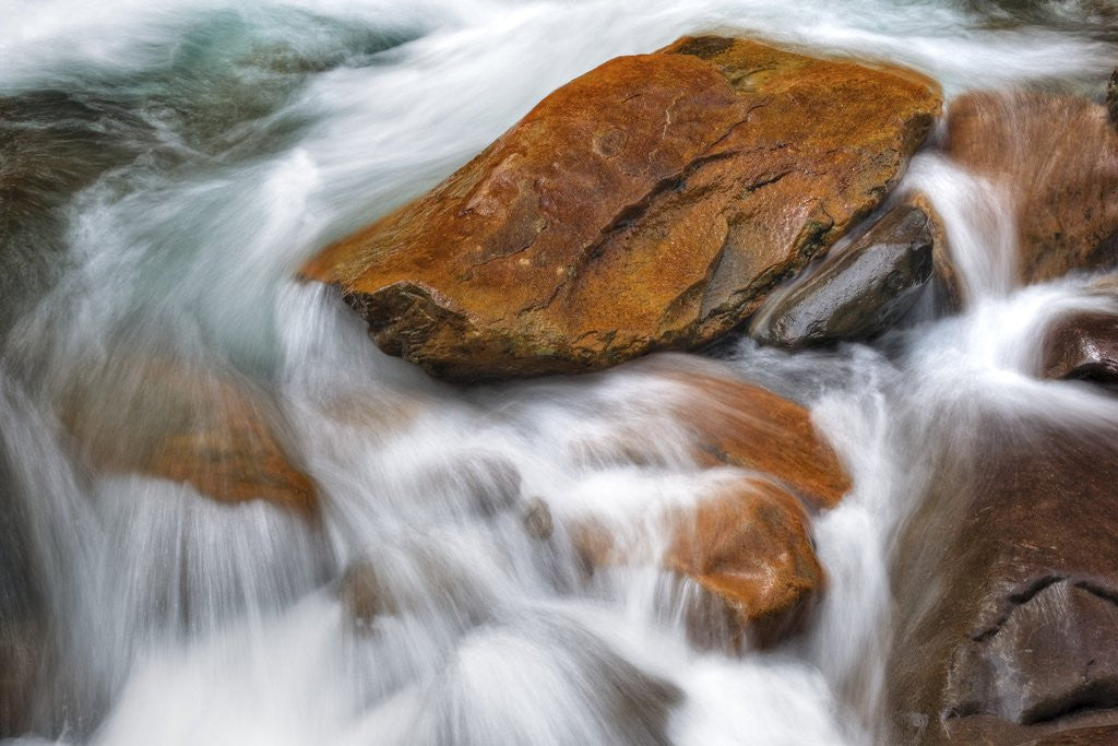 Detail of Stream in Great Smoky Mountains National Park by Corbis