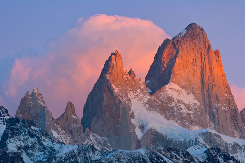 Detail of Pink Cumulus Clouds Above Fitzroy Massif, Glaciers National Park by Anonymous