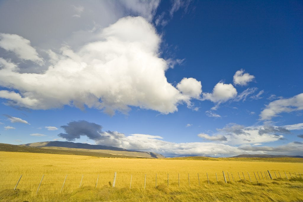 Detail of Cumulus Clouds Over Golden Pampas in Chile by Anonymous