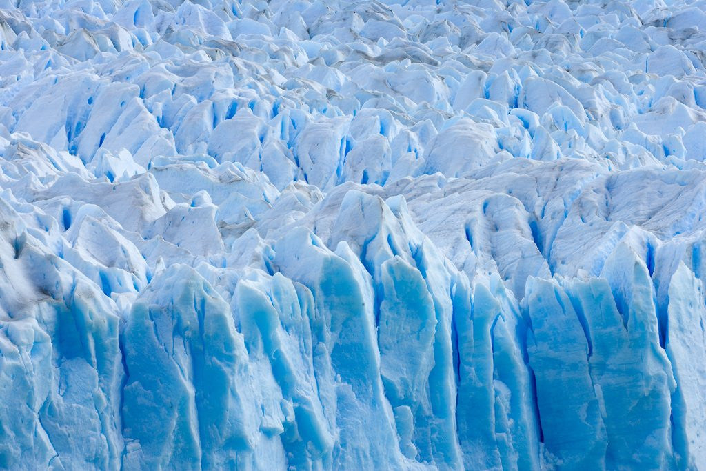 Detail of Rough Surface of Perito Moreno Glacier by Anonymous