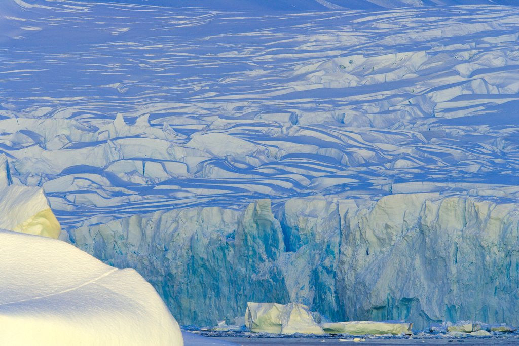 Detail of Wiggins Glacier Descending into Sea by Anonymous