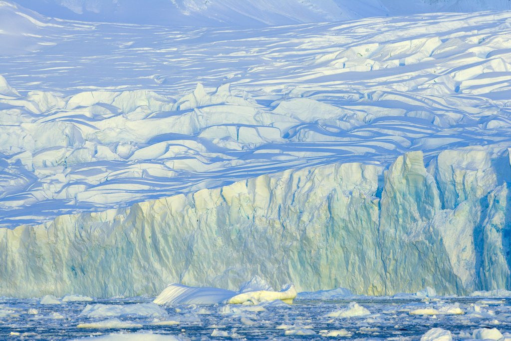 Detail of Wiggins Glacier Descending into Sea by Anonymous