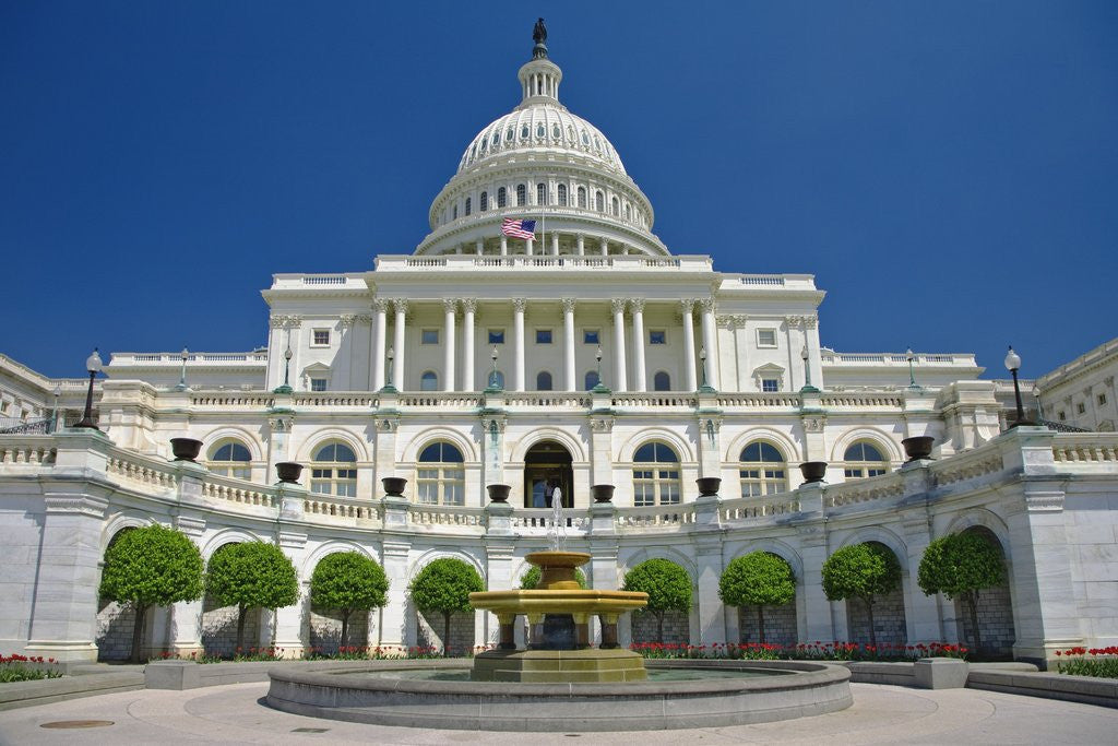 Detail of U.S. Capitol by Corbis