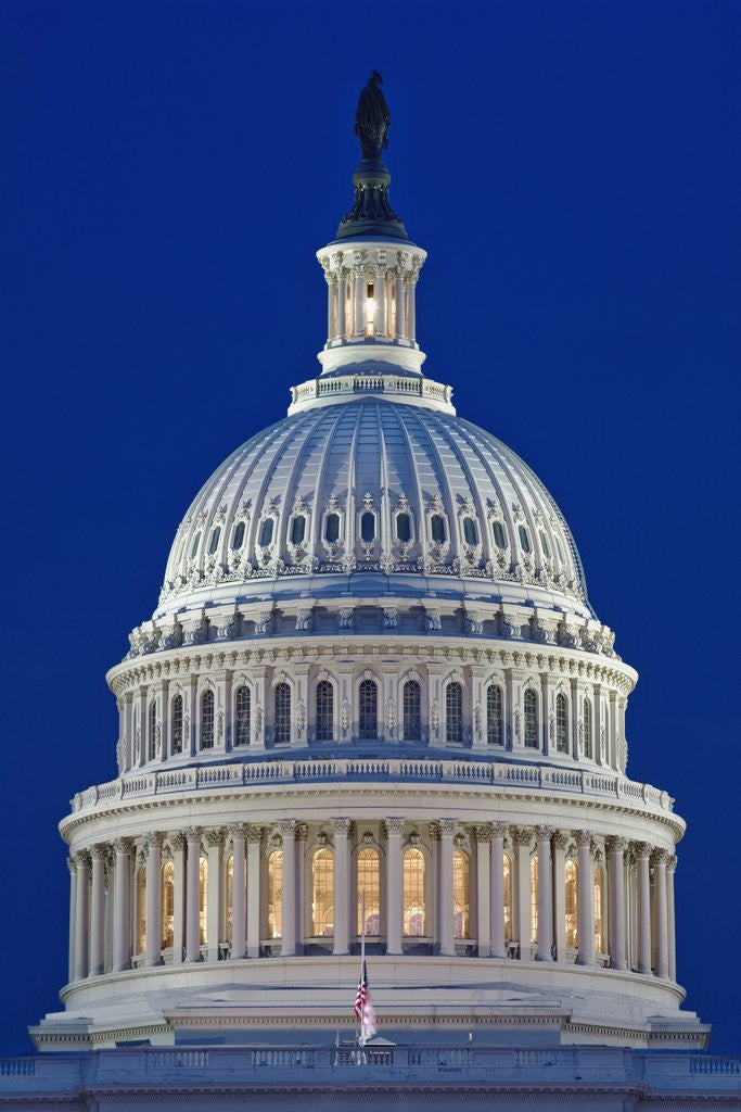 Detail of Dome of U.S. Capitol by Anonymous