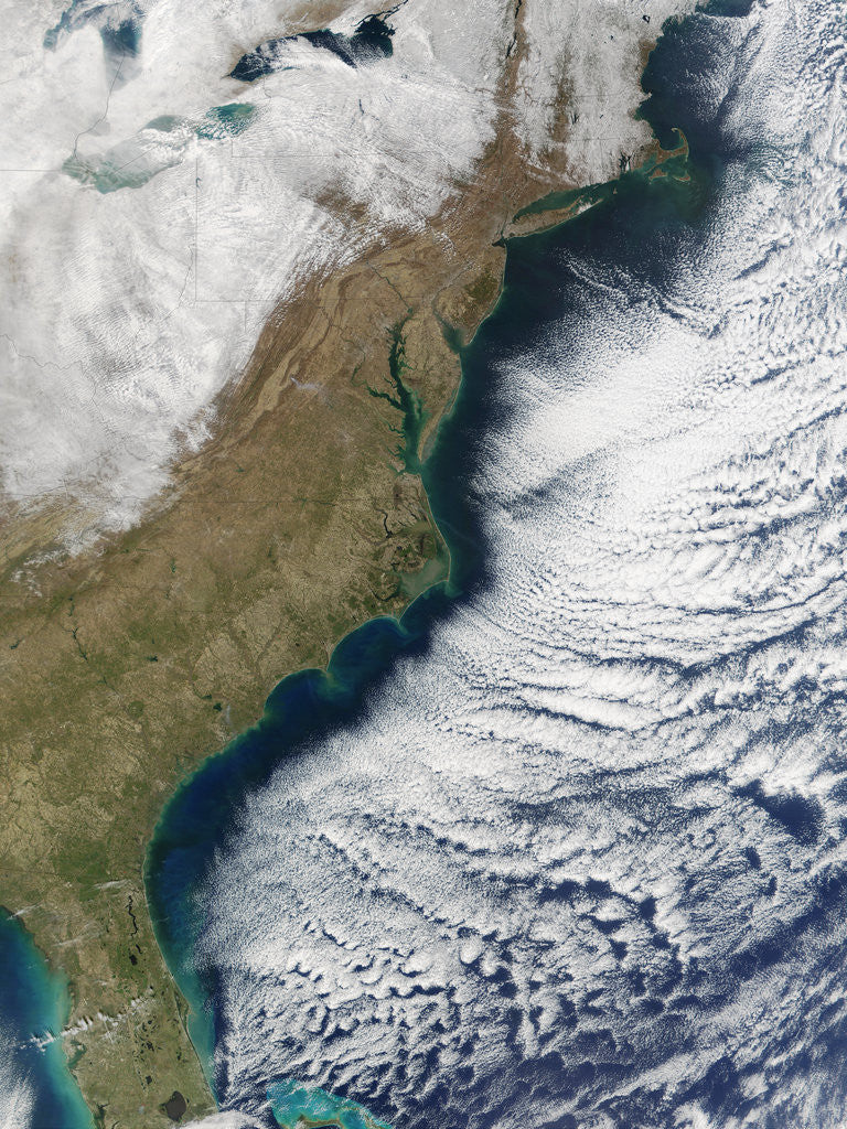 Detail of Eastern Piedmont Region and East Coast of America by Anonymous