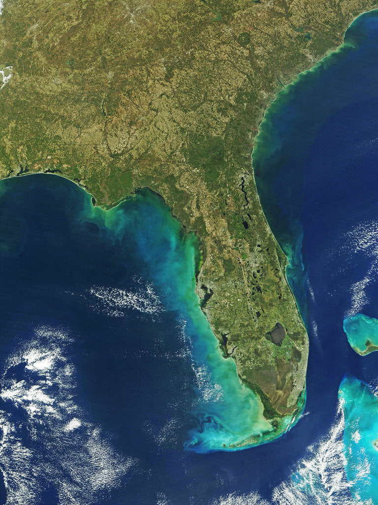 Detail of Florida Peninsula by Corbis