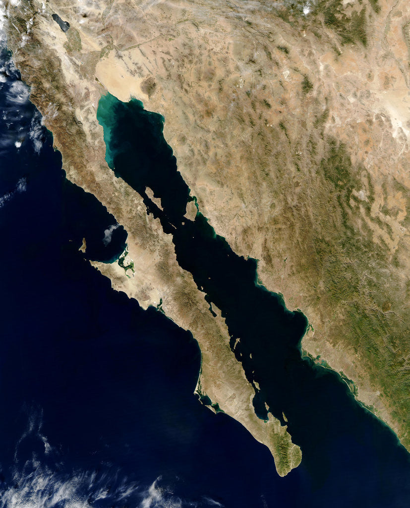 Detail of Baja California Peninsula in Mexico by Anonymous