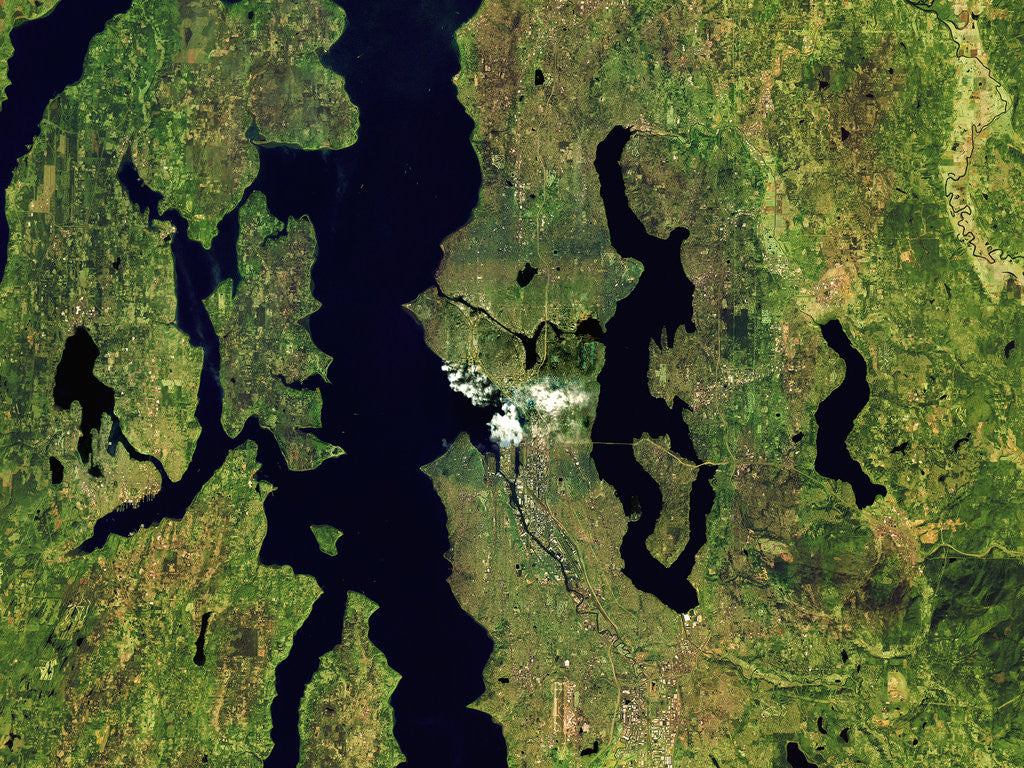 Detail of Puget Sound and Seattle in Washington State by Anonymous