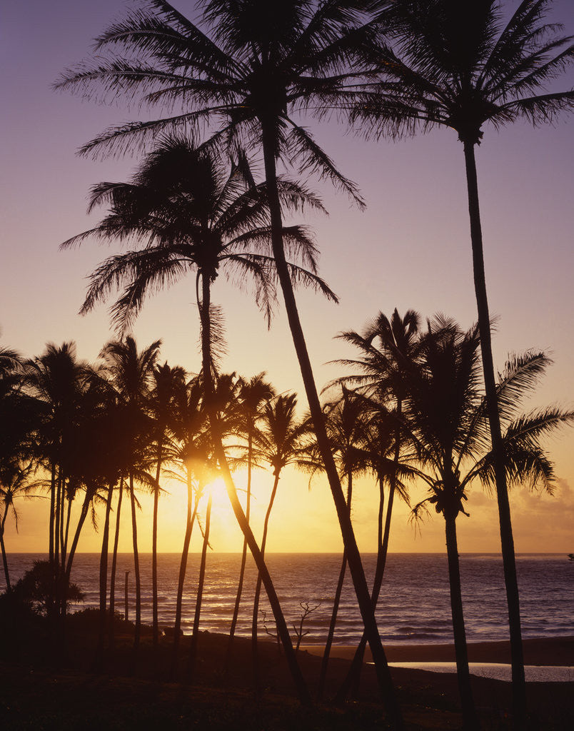Detail of Sunset at Kihei Beach by Anonymous