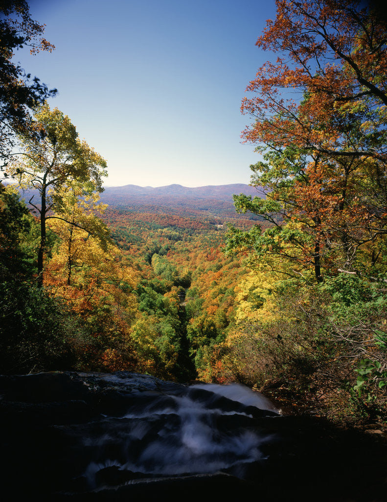 Detail of View into Valley from Amicalola Falls by Anonymous
