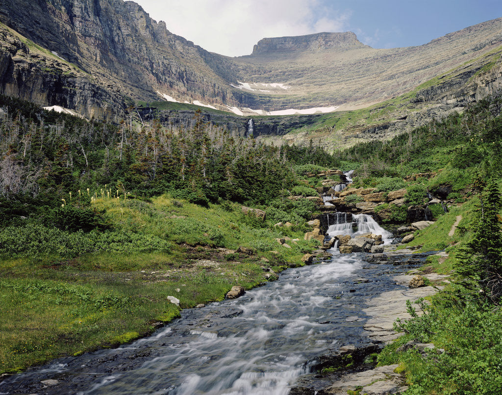 Detail of Lunch Creek Falls by Anonymous