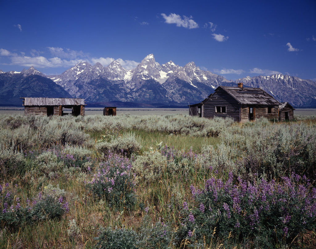 Detail of Pioneer Settlement at Jackson Hole by Anonymous