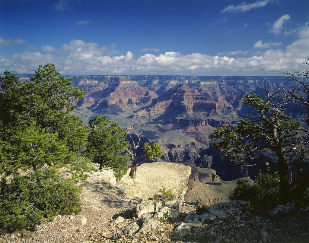 Detail of South Rim of Grand Canyon by Anonymous