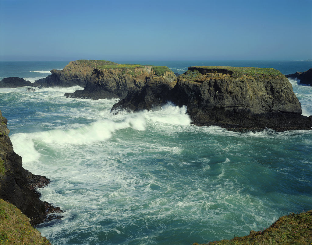 Detail of Mendocino Coast, CA by Anonymous