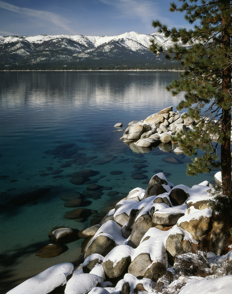 Detail of Lake Tahoe by Anonymous