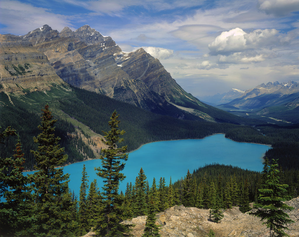 Detail of Peyto Lake by Anonymous