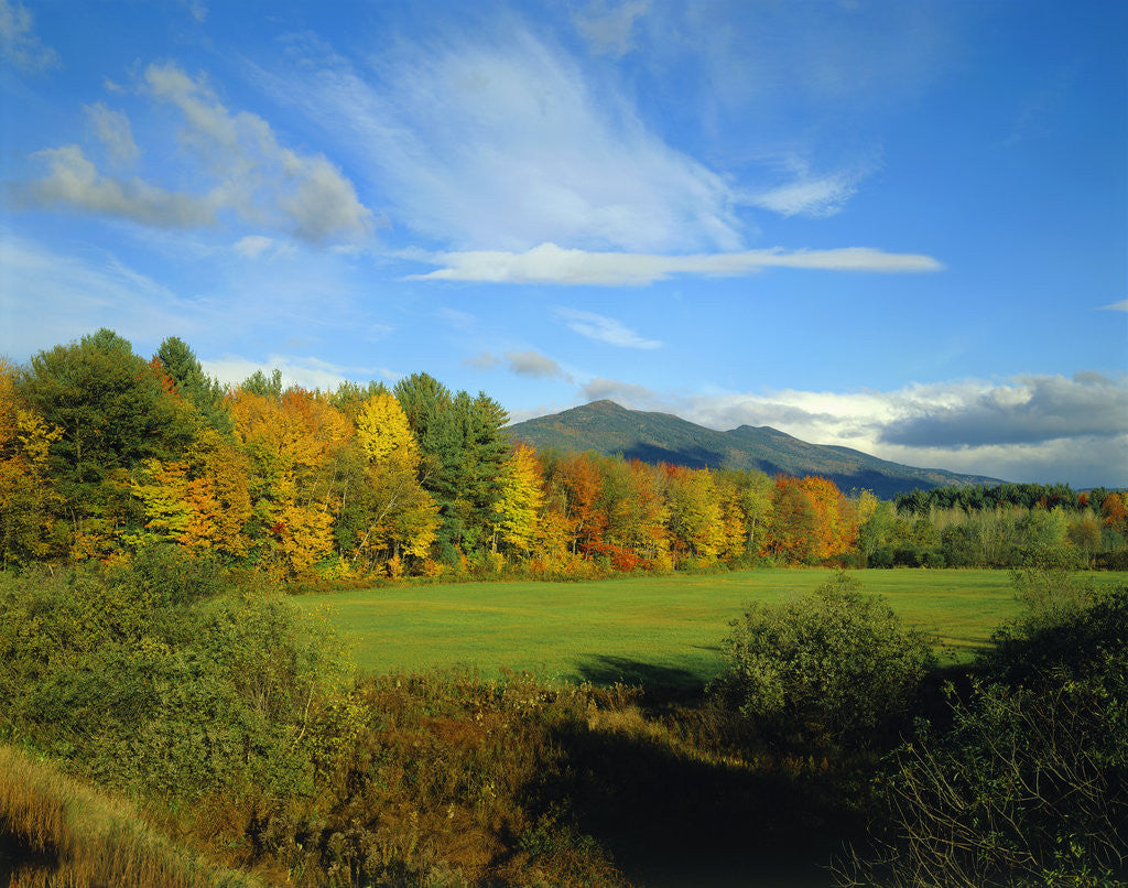 Detail of White Mountains by Anonymous