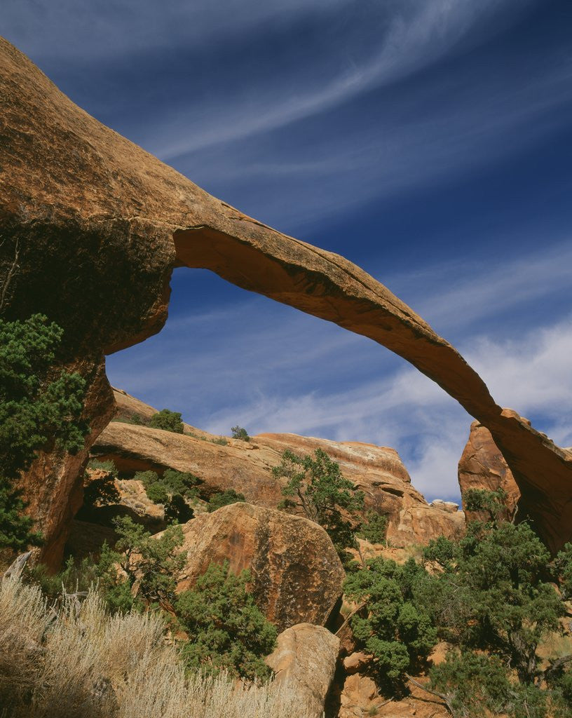 Detail of Landscape Arch by Anonymous