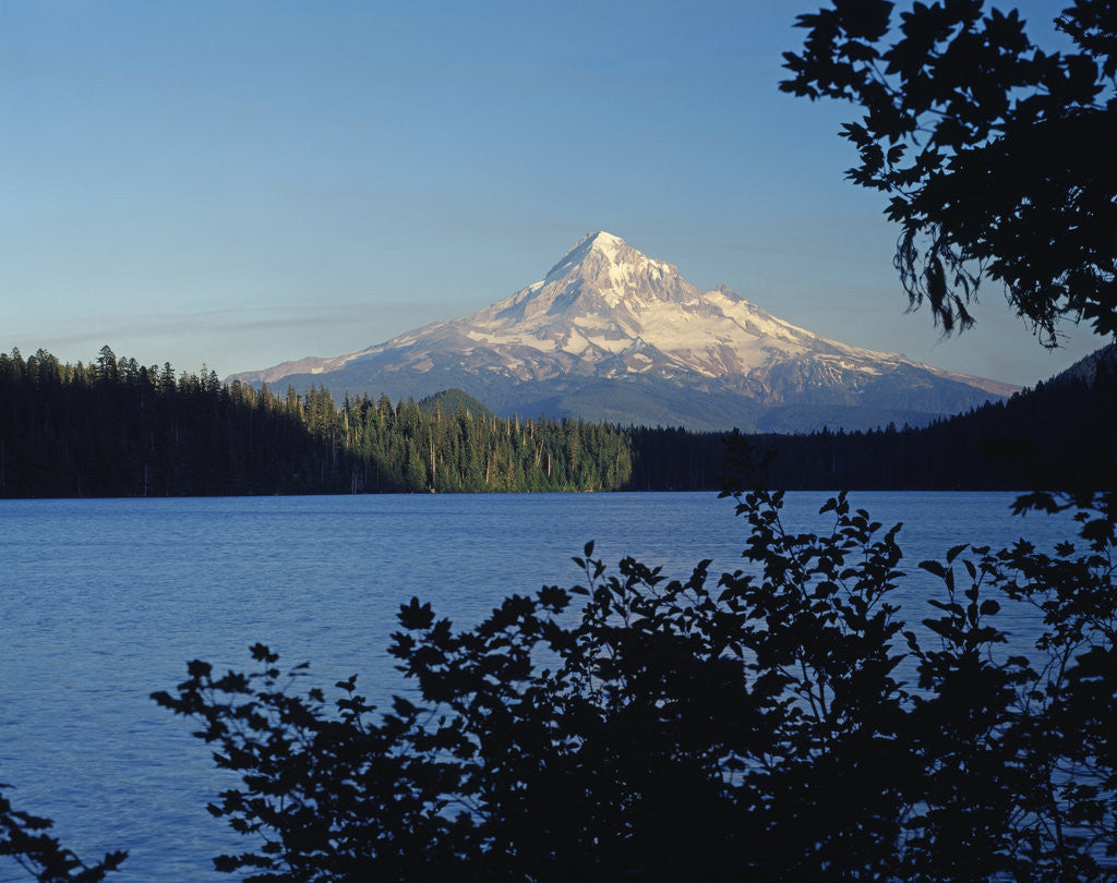 Detail of Lost Lake and Mount Hood by Anonymous