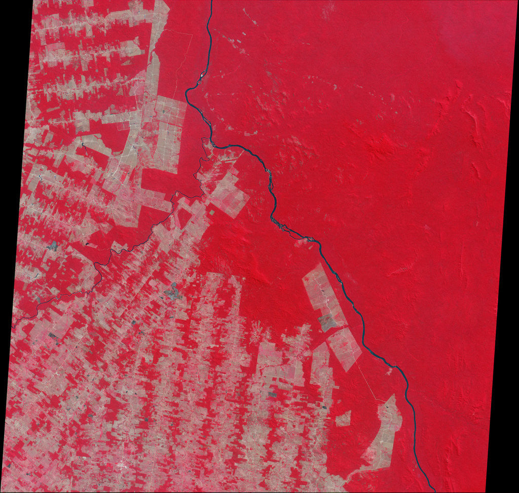 Detail of Deforestation in Rondonia State of Brazil by Anonymous