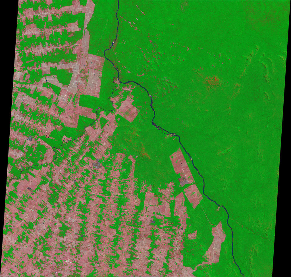 Detail of Deforestation in Rondonia State of Brazil by Anonymous